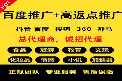 案例研究：SEM开户助力电商快速崛起